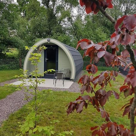 Mount Hillary Holiday Pods Cork Dış mekan fotoğraf